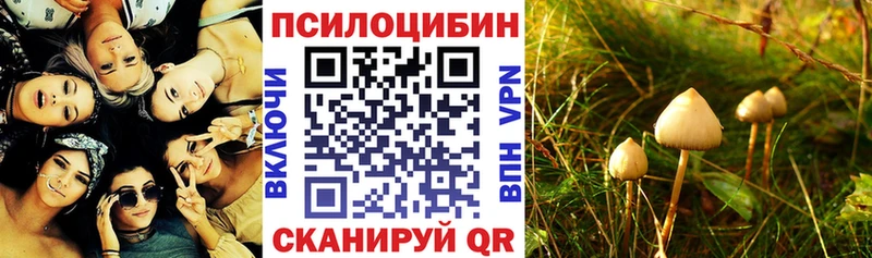 Купить закладки  Киренск  Псилоцибиновые грибы ЛСД 